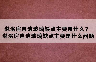 淋浴房自洁玻璃缺点主要是什么？ 淋浴房自洁玻璃缺点主要是什么问题